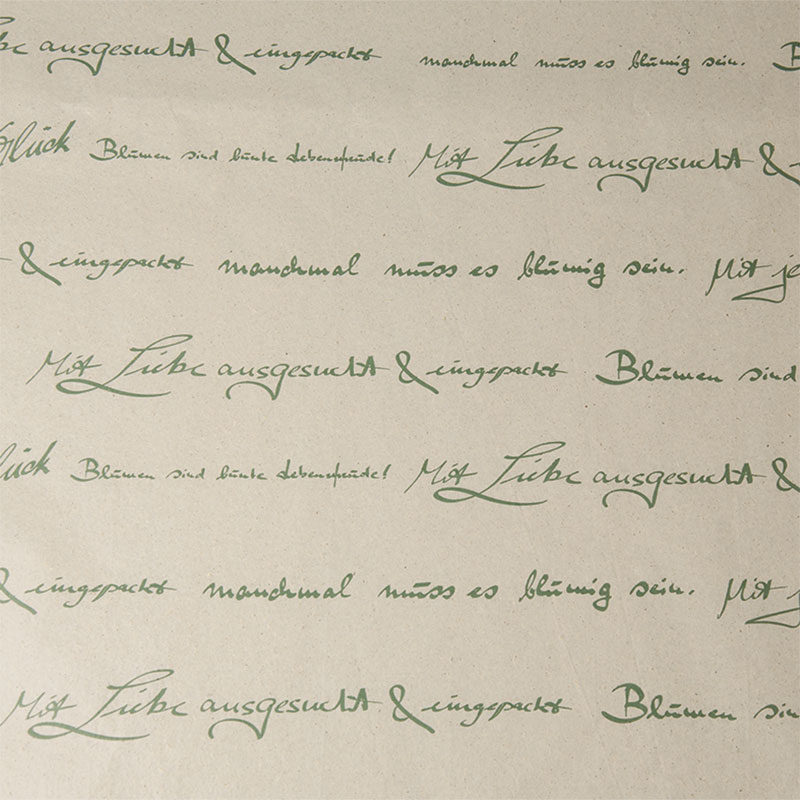 2008bg Federspiel grün auf Graspapier