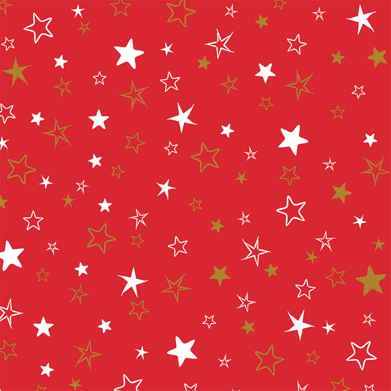 Abendstern auf rotem Papier, Lieferbar ab Oktober 2026 Abendstern auf rotem Papier, Lieferbar ab Oktober 2026