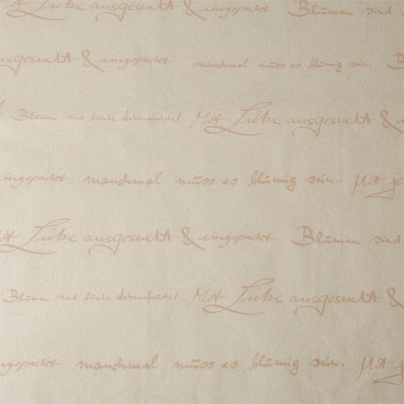 2005bg Federspiel rosa auf Graspapier