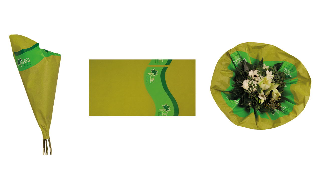 Geschwungener Banddruck