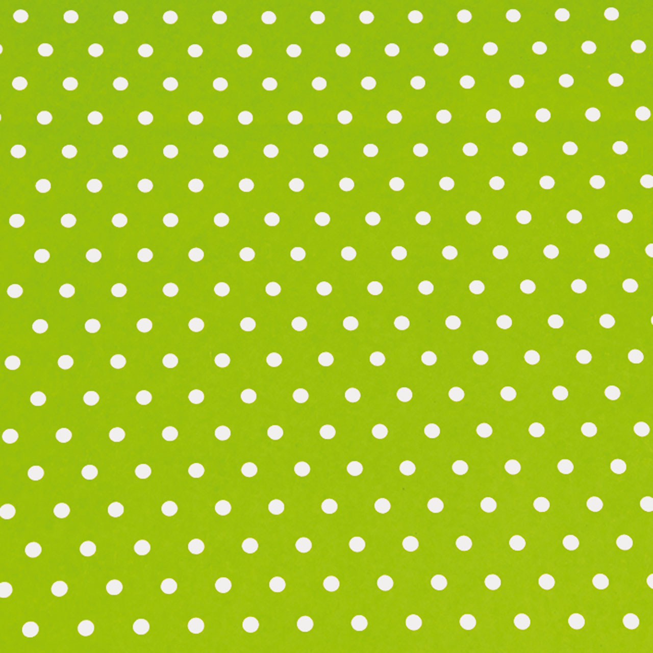 2035bg Anton Maigrün