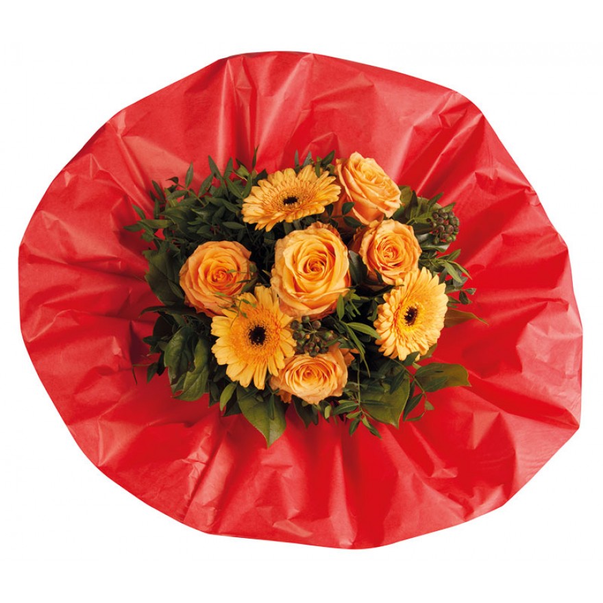 lotus-manschetten-man2WetHshNFueDM5