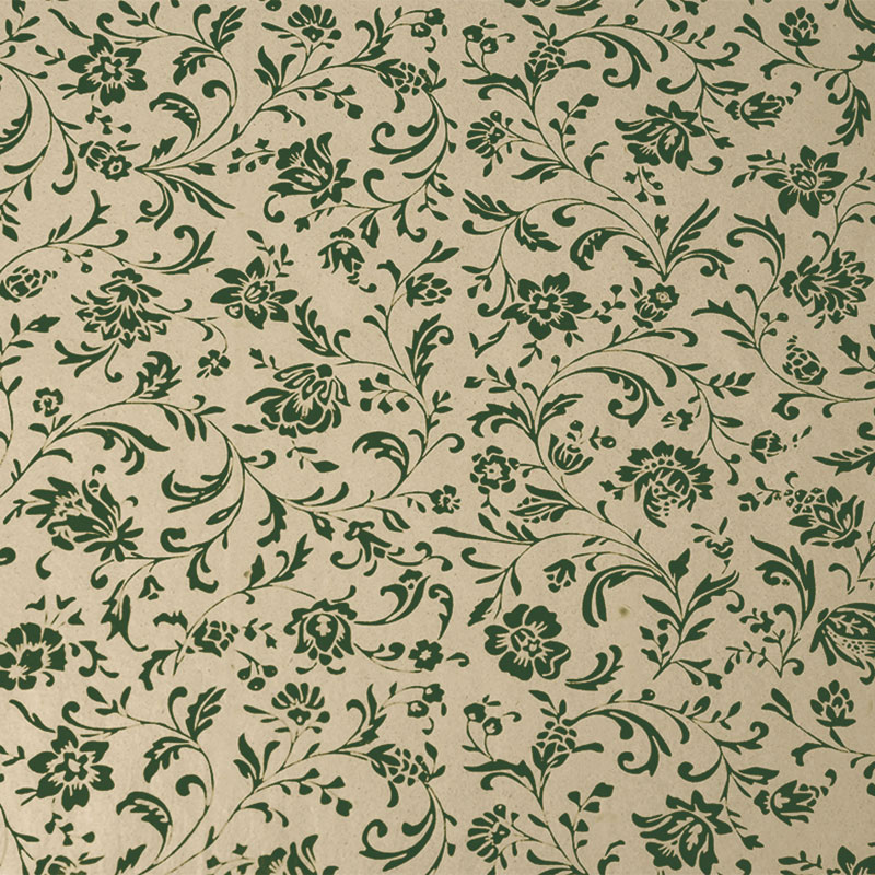 2488bg Madeira grün auf Graspapier